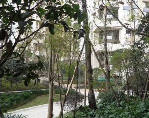 麓山国际茵特拉肯A 3室1厅 东南