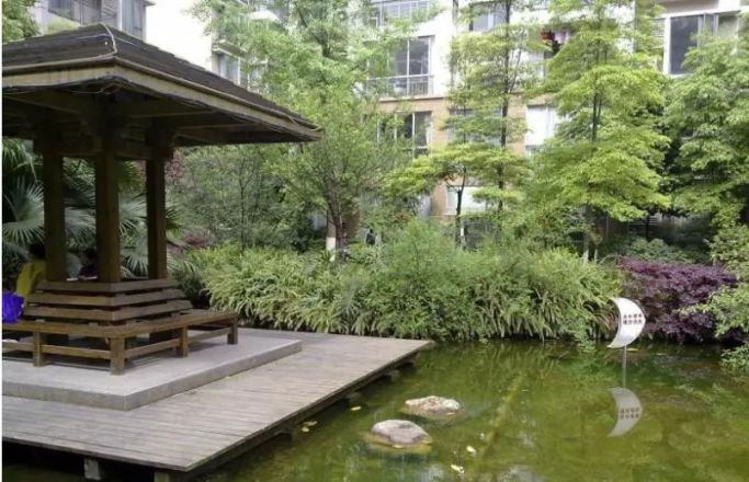阳光金沙实景图