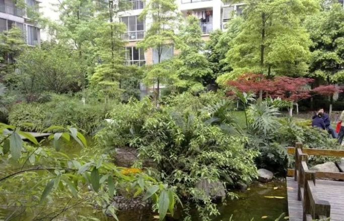 阳光金沙实景图