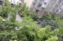 阳光金沙实景图