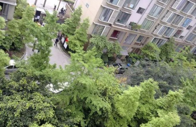 阳光金沙实景图