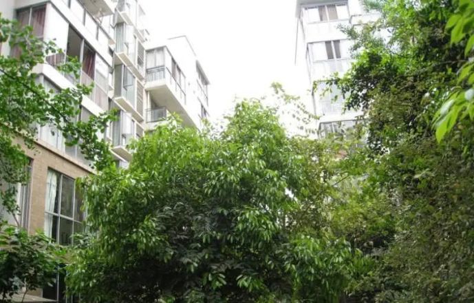 阳光金沙实景图