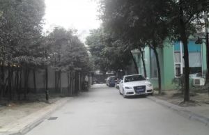 双楠所有阳光1室1厅南