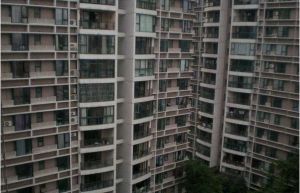 伊甸阳光 3室2厅 南