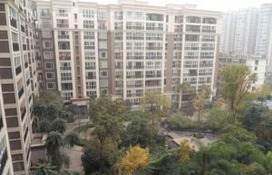 美丽南庭3室1厅西