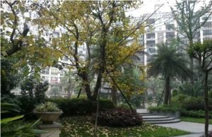 美丽南庭3室1厅南