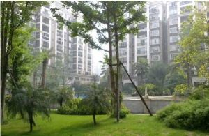 美丽南庭 1室1厅 东