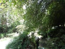 顺风商城3室2厅东南