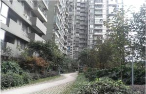紫云金沙2室1厅西