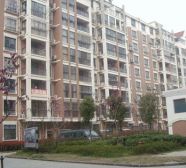 视野开阔,使用面积大,空间大,电梯的洋房