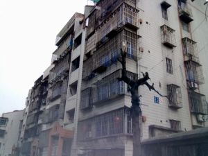 驸马新村 1室1厅 南