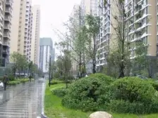 东方港湾朝南两室 两梯四户 小高层 采光无忧