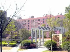 四开间朝南 诚心出售 看房方便 价格可谈