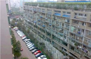 新巢小区二期 1室1厅 南