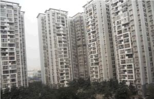 沙河源上金府3室1厅南