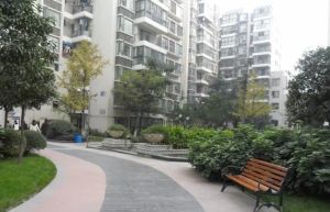 金楠国际1室1厅西南