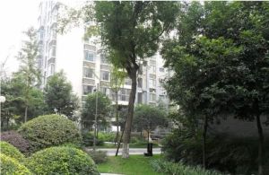 金楠国际 1室2厅 东