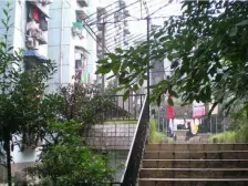 双楠二区 2室1厅 南