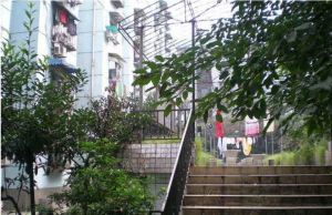 双楠二区3室2厅南北