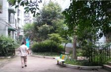 双楠二区2室1厅西