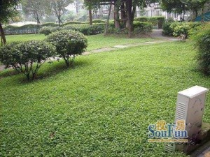 长融一代天骄2室2厅东南
