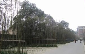 宝泰家园2室2厅西南