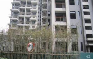 宝泰家园3室2厅西北