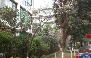 锦官丽城亲水湾2室1厅西
