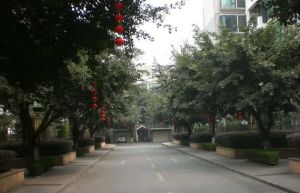 锦官丽城亲水湾3室1厅东南