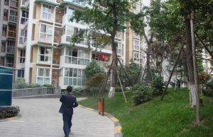 艺水芳乡2室1厅南北