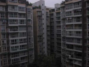 艺水芳乡2室2厅南