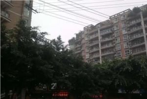 望江嘉苑 2室1厅 西南