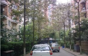 望江嘉苑4室2厅南