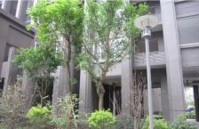 四季康城3室1厅东南西