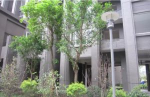 四季康城3室1厅南