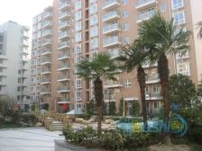 盛和七彩豪庭 首排 采光佳 清爽装修 启 秀