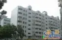 天宝花园实景图