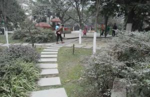 西线阳光3室1厅东北