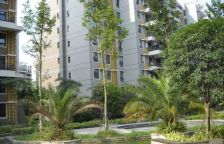 西财学府尚郡 5室2厅 东南 西北