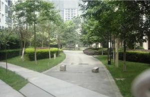 普罗雅庭3室2厅南