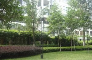 普罗雅庭5室3厅东