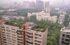 78号观邸3室2厅南北