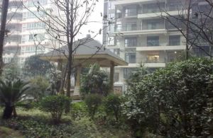 78号观邸2室1厅东北