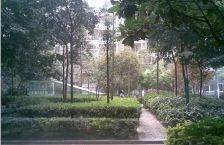 皇后国际 3室1厅 东南