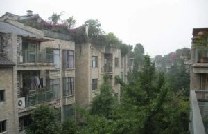 春天花园4室2厅南北