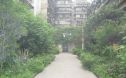 玉寿巷3号院实景图