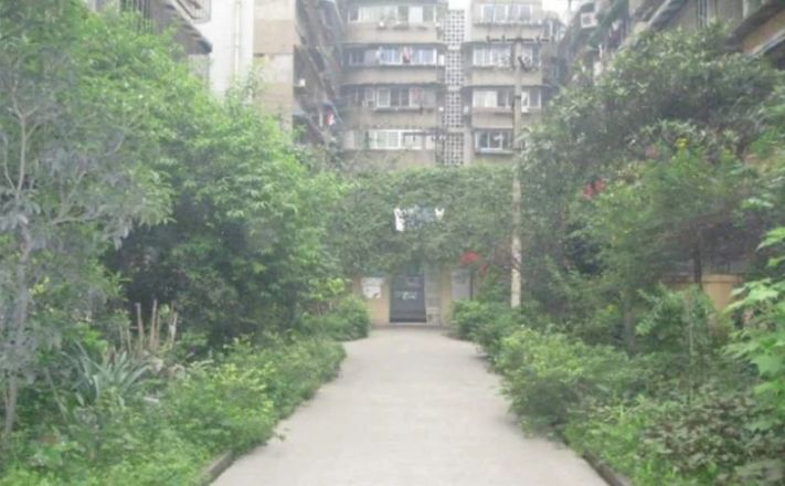玉寿巷3号院实景图