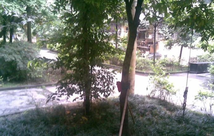 玉寿巷3号院实景图