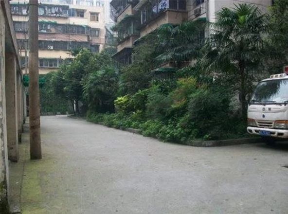 玉寿巷3号院实景图