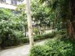 玉寿巷3号院实景图
